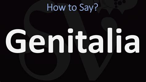 Learn more. . How to pronounce genitalia